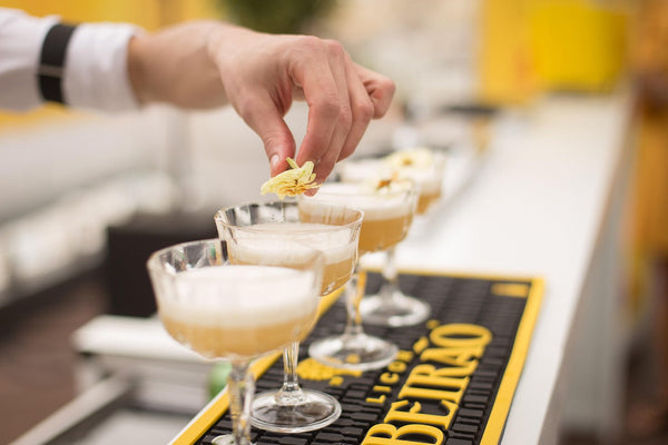 Barware & Accessories